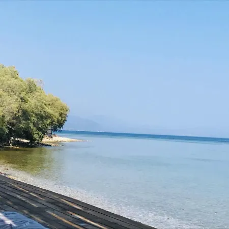 Sea La Vie